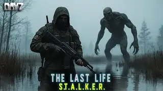DAYZ PVE | ПРОМО | THE LAST LIFE | S.T.A.L.K.E.R. | КВЕСТЫ, РАНГ, БП  #dayzpve #dayz