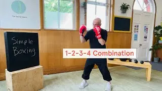 Simple Boxing: 1-2-3-4 (jab-cross-hook-hook) combination