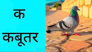 क से कबूतर | Hindi Vyanjan Song | Learn Hindi Alphabets with Fun Music for Kids 🕊️🎶