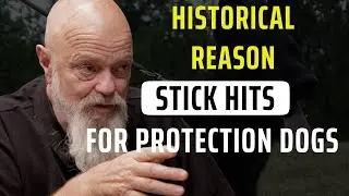 Historical Reasons For Stick Hits For Protection Dog