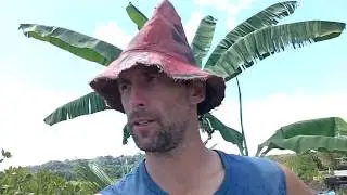 Solar Power Shade