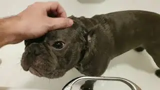 How MAD at me Is He?