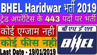 BHEL Haridwar Recruitment 2019 For Apprentice Vacancy | BHEL Haridwar Vacancy | Govt Jobs 2019