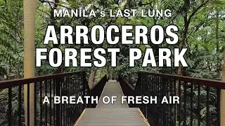 Arroceros Forest Park | MANILA'S GREAT GREEN SPACE | Gubat sa Maynila | Virtual Tour | Philippines