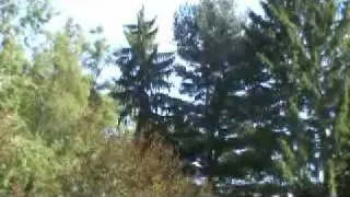 SCOTTRICHARDSON.mp4