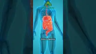 Uvetta sultanina per digestione, ossa e sistema immunitario! 🧠💪