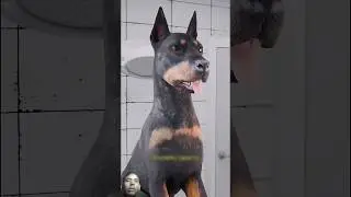 Why are a Doberman dog&rsquo;s tail and ears cut?&rdquo; #shorts