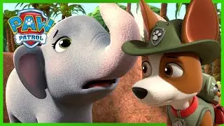 Jungle Rescue Pups save a Baby Elephant! | PAW Patrol | Cartoons for Kids Compilation