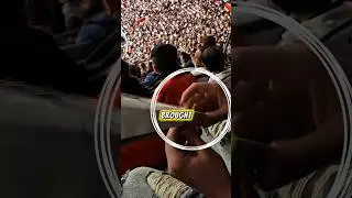 больше не повторится 😱 #шорты #фактопия