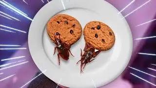 🍪 TROLLAGEM DO BISCOITO FALSO !! ‹ AUTHENTIC ›