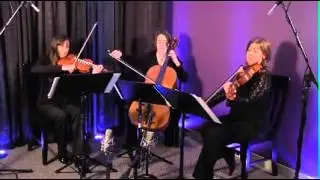 Air on the G String (Bach) for String Trio (Violin, Viola, Cello)