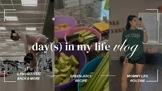 DAYS IN MY LIFE | 25 yr old mom, gym routine, green juice recipe, daily routines, & more!
