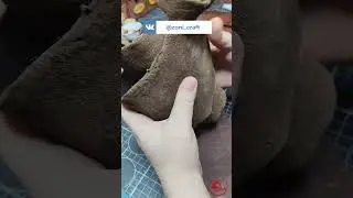 🔴Кожа по рецепту XIX века &mdash; у меня в руках! #diy #zonicraft #handmade