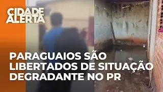 Paraguaios s&atilde;o resgatados de trabalho an&aacute;logo &agrave; escravid&atilde;o em Perobal, no Paran&aacute;