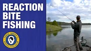 Reaction Bite Fishing (how to)