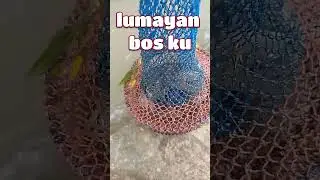 lumayan bos ku  #mancing #fishing #mancingmania