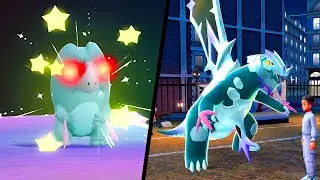 Ich fange das SELTENE Shiny Elite Frospino für die MEGA