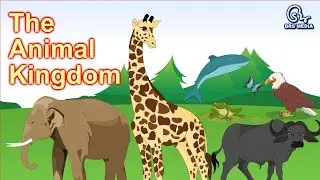 The Animal Kingdom | Animal Classification |  Classifying Animals | Class 4  EVS | HD Video