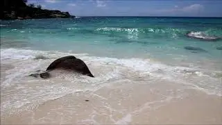 Сейшелы. Лучший пляж острова Маэ - Anse Intendance!