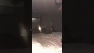 Apocalyptically insane Alien 👽 invasion 👾 .  Tha Real Demon House (read description)