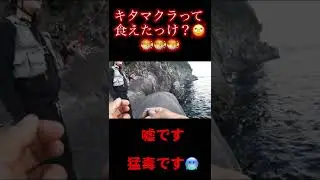 キタマクラって食えたっけ？