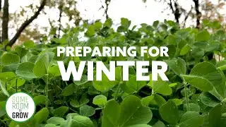 Winterizing the Garden | Cover Crops, Mulch, Rain Barrel & More