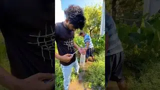 😲🐠fancy guppies Live Catching|   Guppies pond  | balasvoyage