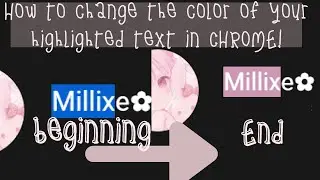 ✨🍑HOW TO CHANGE THE COLOR OF YOUR SELECTED TEXT IN CHROME!!