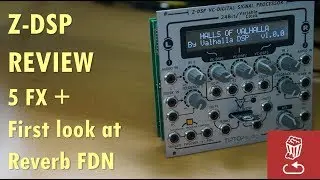 Обзор Tiptop Z-DSP + первый взгляд на Reverb FDN + 5 других эффектов (включая MiniBrute 2, Una Corda, Valhalla)