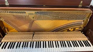 Playing piano! (On chrome music lab) #music #piano song