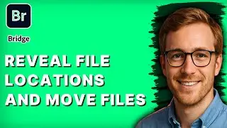 How to Reveal File Locations and Move Files in Adobe Bridge [2026 Full Guide]