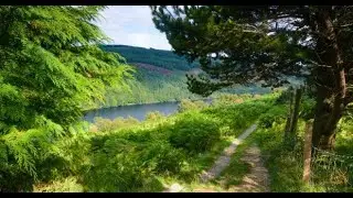 Devil's Glen - Ontario