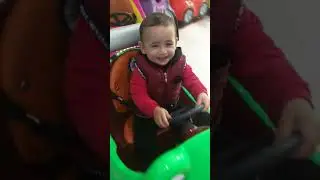 Şoför tugra