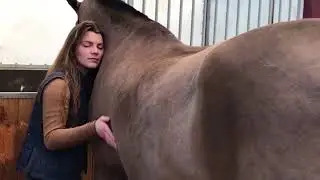 Cheval Passion Avignon 2018