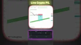 crypto live trade || live p/L || learn crypto ||