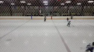 U11AA Carleton Blue Knights @ U11AA York North Coyotes