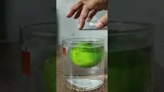 Why Sweet Lemon Float in Water 🍋🍋 | Learn Practically