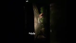 lalpet elleri bypass il mudhalaigal nadamatam makal kavanamaga selavum