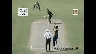 Shahid Afridi vs Nuwan Zoysa | Six, Out & Heated Words Exchanged | Sharjah 2002