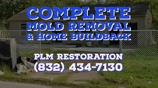 Mold Remediation for League City * League City Mold Removal