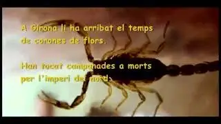 L'exèrcit del sud assalta girona.