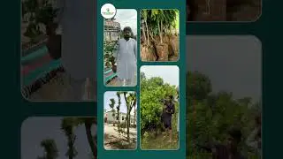 Behind the Scenes 🎥 | #treeplanting #greenpakistan #beautifulpakistan