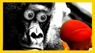 GOLDEN E X P A N D D O N G SMG4: If Mario Was In... Donkey Kong Bananza REACTION