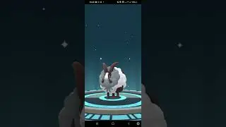Pokemon Go / Evolution / Wooloo