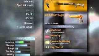 Cod 4 all golden camos