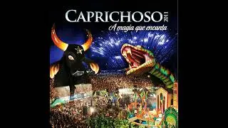 Touro Rei - Boi Caprichoso 2011