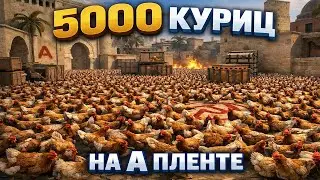 Я заспамил 5000 куриц в CS2 и вот что произошло… +эксперементы