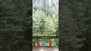 Nathia Gali Beautiful Abshar Hotel Narural Beauty Peace Of Mind