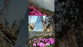 Địa điểm m&agrave; anh chị em m&ecirc; Outdoor nhớ lưu lại để chuẩn bị một m&ugrave;a 8/3 ho&agrave;n hảo nh&eacute;!! #umove #dulich