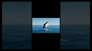 Dolphin AI video Veo 3 #ai #ии #нейросеть #veo3 #дельфин #море #sea
